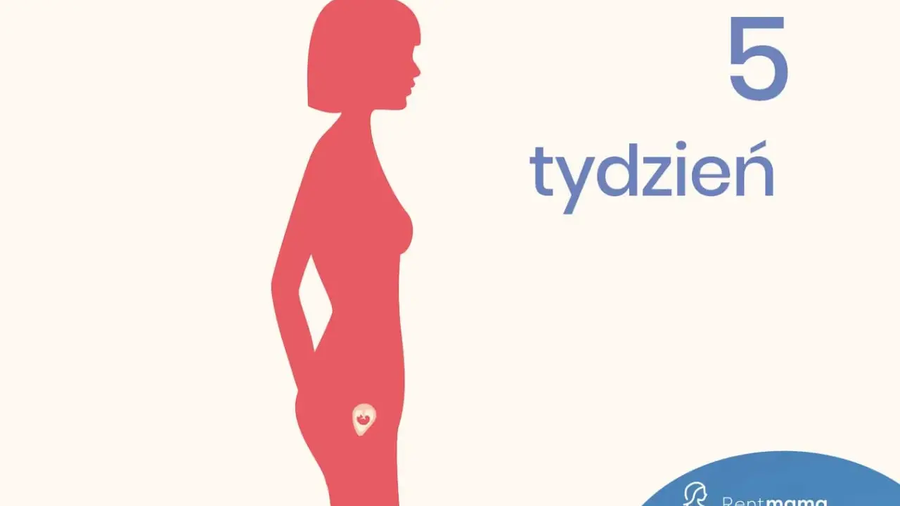 Sylwetka kobiety z widocznym zarodkiem w łonie. Obok napis "5 tydzień".
