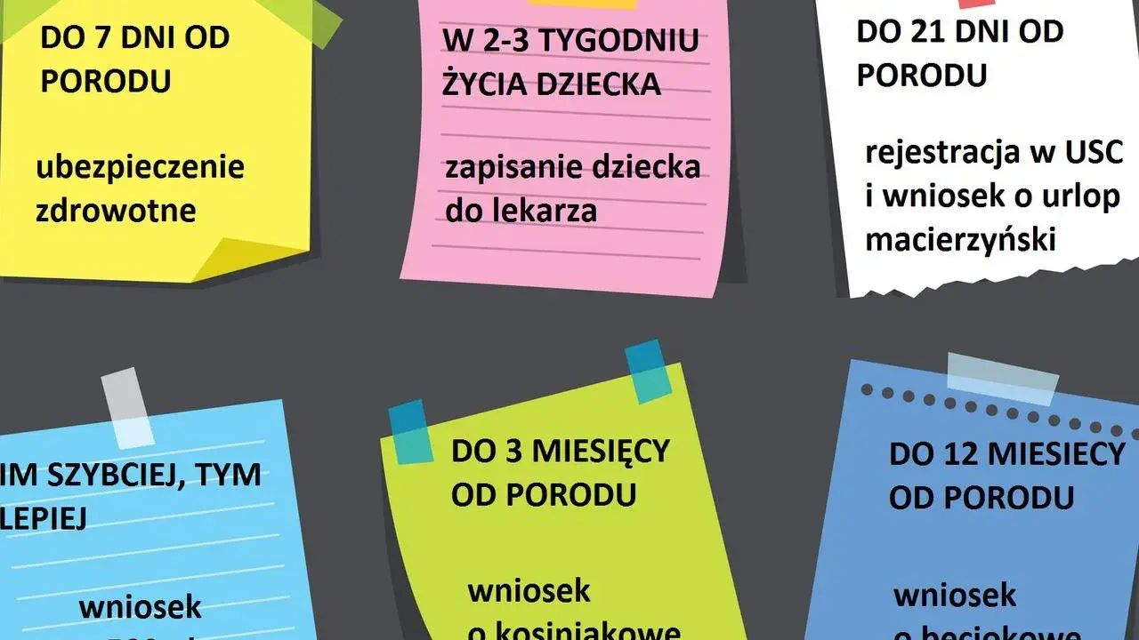 Formalności po porodzie: ubezpieczenie zdrowotne do 7 dni, rejestracja dziecka i wniosek o urlop macierzyński do 21 dni, wniosek o 500 plus, kosiniakowe i beciokowe w kolejnych miesiącach.