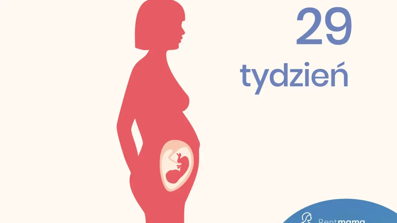 Ilustracja pokazuje sylwetkę kobiety w ciąży, z widocznym płodem w brzuchu. Obok widnieje napis "29 tydzień ciąży".