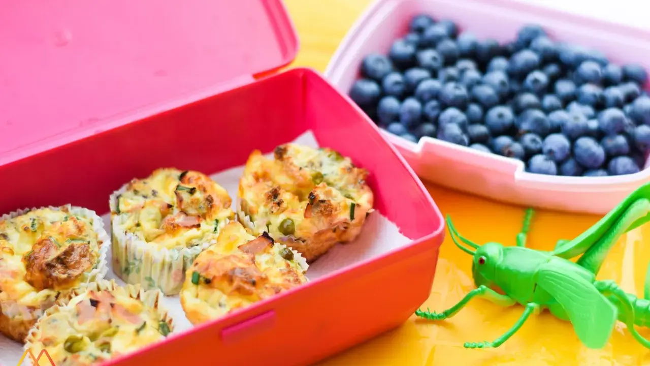 Kolorowe pudełka śniadaniowe z muffinkami jajecznymi i borówkami. Idealne przekąski dla dzieci, które umilą każdy dzień.