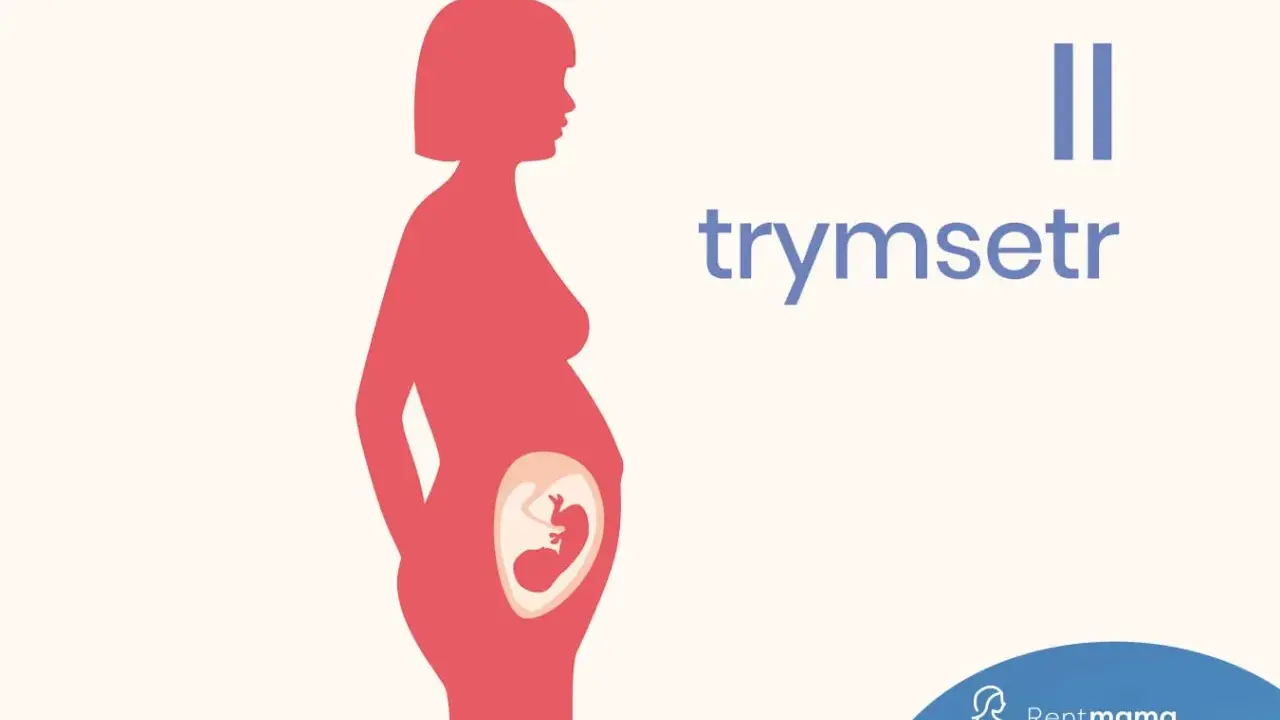 Sylwetka kobiety w drugim trymestrze ciąży z widocznym płodem. Napis "II trymestr".