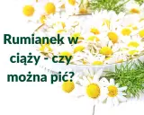 Rumianek w ciąży - czy można pić? Wiele kobiet zastanawia się nad tym, pijąc ten delikatny napar.
