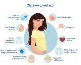 Objawy owulacji: zmienna temperatura, wyostrzone zmysły, plamienie, wilgotność, ból, wrażliwe piersi, wzdęcia, zmienne libido, zmiany szyjki macicy, nudności, bóle głowy.