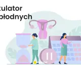 Kalkulator dni płodnych: cykl miesiączkowy, kalendarz, klepsydra i symbol pauzy.