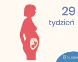 Ilustracja pokazuje sylwetkę kobiety w ciąży, z widocznym płodem w brzuchu. Obok widnieje napis "29 tydzień ciąży".