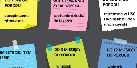 Formalności po porodzie: ubezpieczenie zdrowotne do 7 dni, rejestracja dziecka i wniosek o urlop macierzyński do 21 dni, wniosek o 500 plus, kosiniakowe i beciokowe w kolejnych miesiącach.