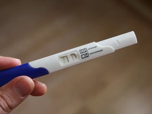 Dwa paski na teście ciążowym. Różne rodzaje testów ciążowych dają podobne wyniki.