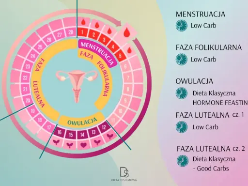 Schemat przedstawia fazy cyklu miesiączkowego: menstruację, fazę folikularną, owulację i fazę lutealną, z sugerowanymi dietami.