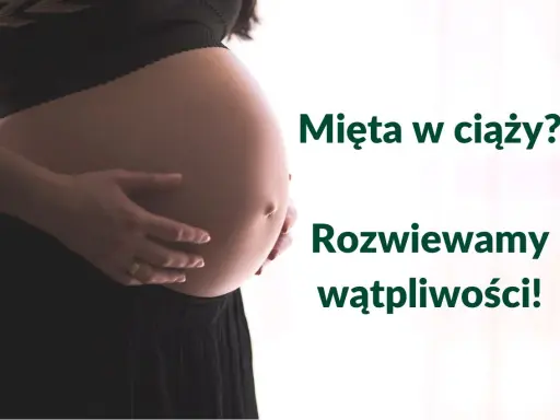 Brzuch kobiety w ciąży, z dłońmi delikatnie go obejmującymi. Obok tekst: "Mięta w ciąży? Rozwiewamy wątpliwości!".