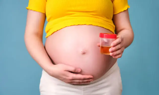 Kobieta w ciąży trzyma pojemnik z próbką moczu, badanie na obecność ketonów w moczu w ciąży.