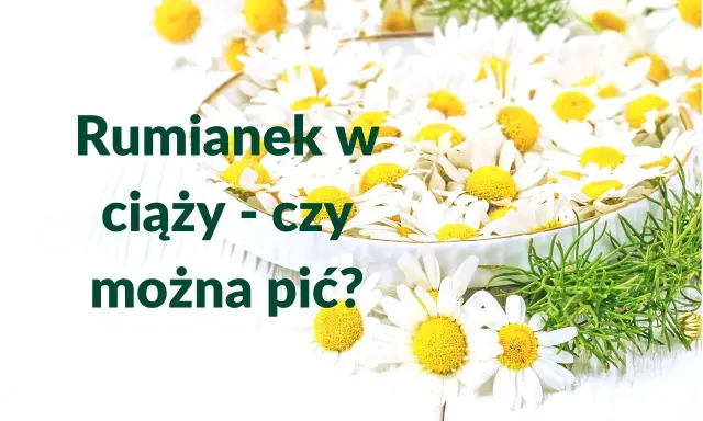 Rumianek w ciąży - czy można pić? Wiele kobiet zastanawia się nad tym, pijąc ten delikatny napar.