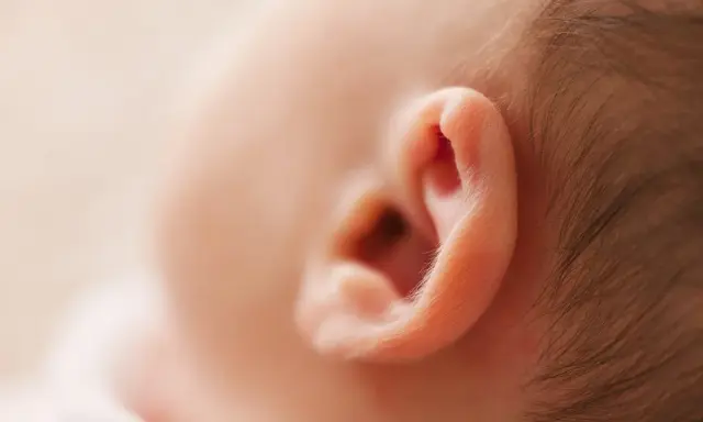 Delikatne ucho niemowlęcia, które może być dotknięte zapaleniem ucha zewnętrznego.