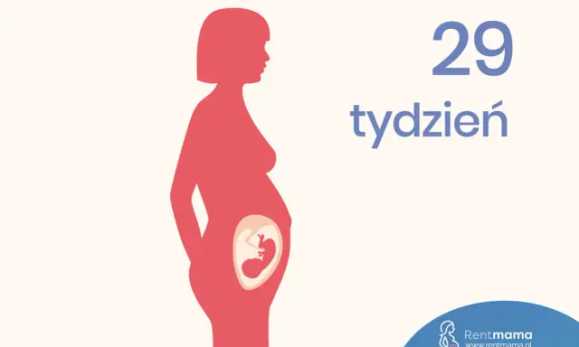 Ilustracja pokazuje sylwetkę kobiety w ciąży, z widocznym płodem w brzuchu. Obok widnieje napis "29 tydzień ciąży".