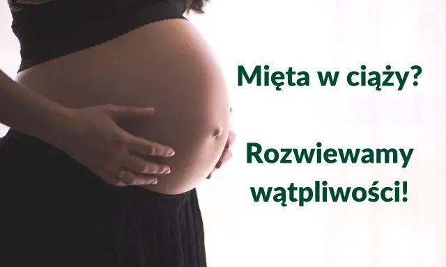 Brzuch kobiety w ciąży, z dłońmi delikatnie go obejmującymi. Obok tekst: "Mięta w ciąży? Rozwiewamy wątpliwości!".