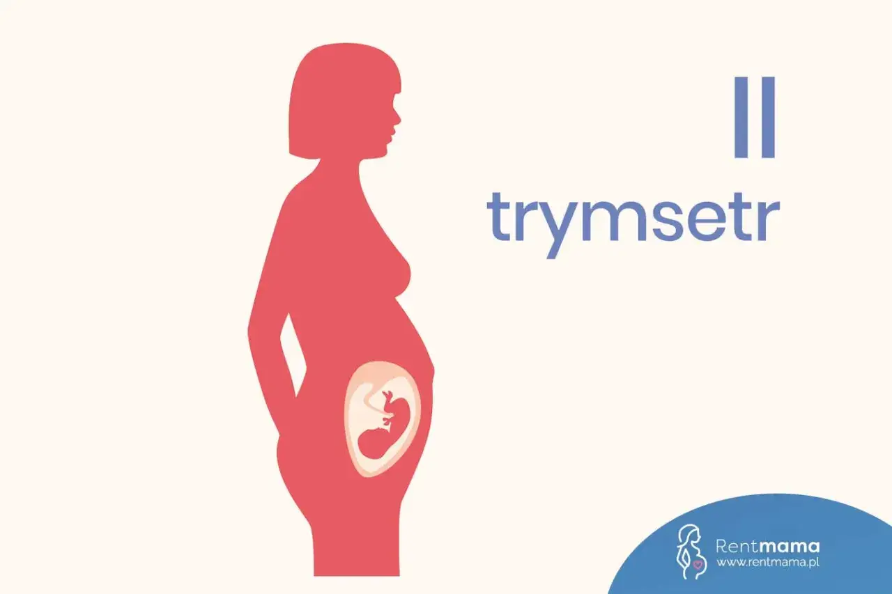 Sylwetka kobiety w drugim trymestrze ciąży z widocznym płodem. Napis "II trymestr".